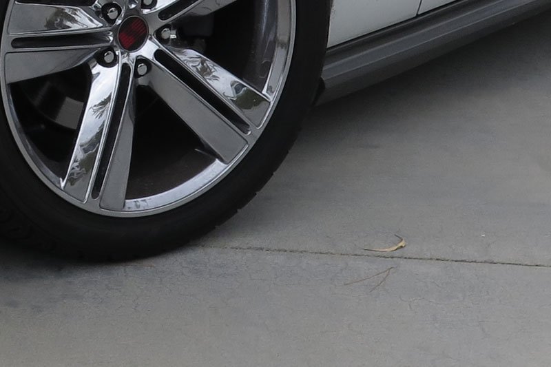 concrete-contractor-maintaining-concrete