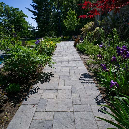 Pathways